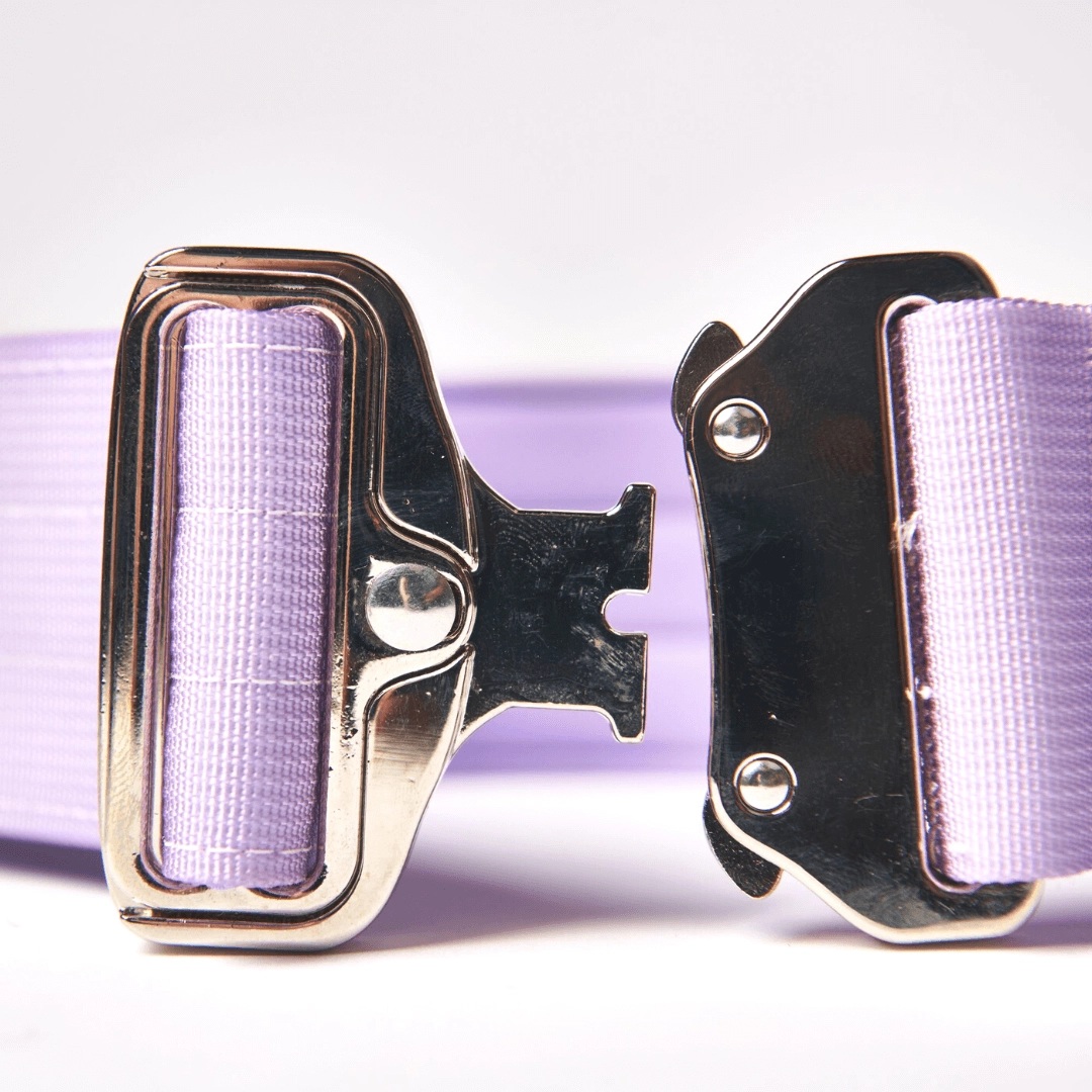 Collier pour Chien avec Poignée Tactique Lila - Spark Paws